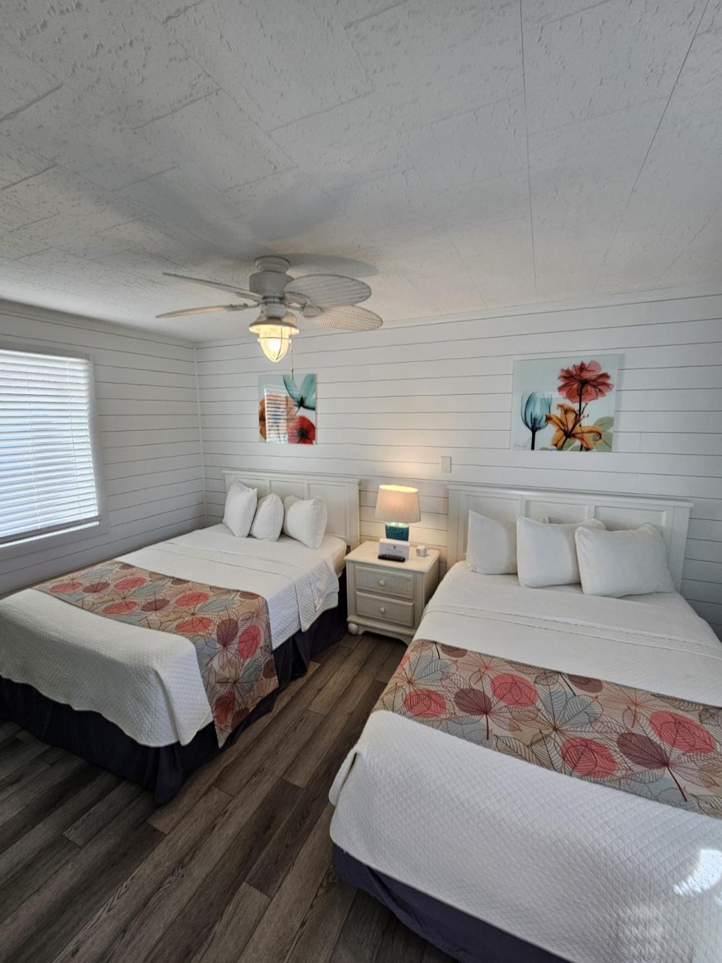 Island Guesthouse And Motel Obx 曼蒂奥 外观 照片